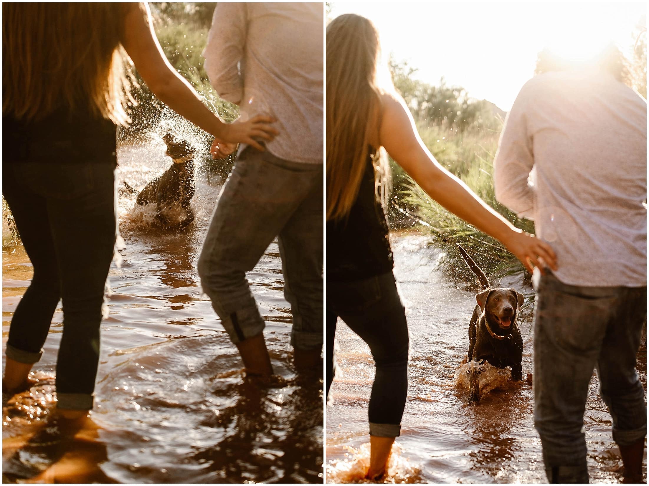 puppy dog in engagement photos in palo duro canyon