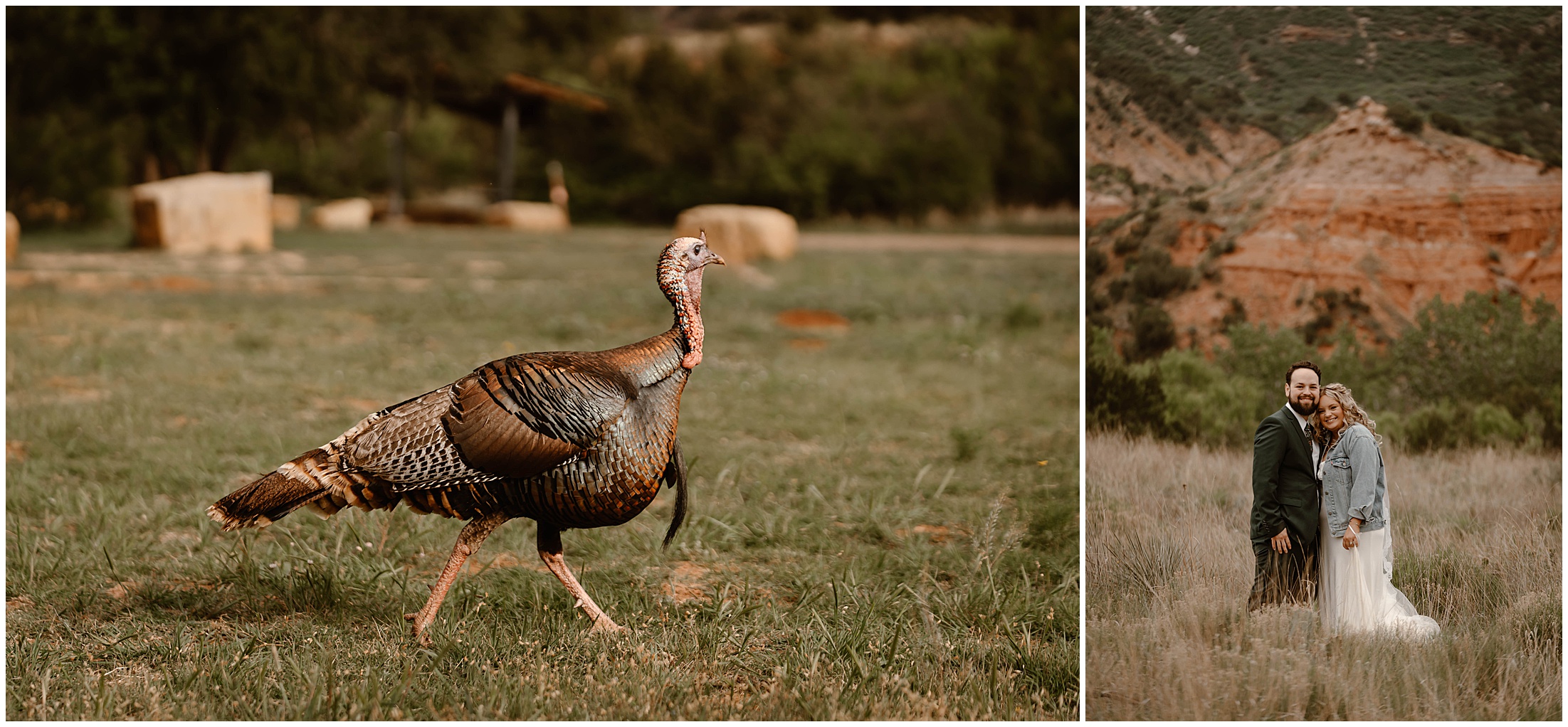 Palo Duro Canyon, palo duro canyon wedding, may 4th wedding, brit nicole photography, texas elopements