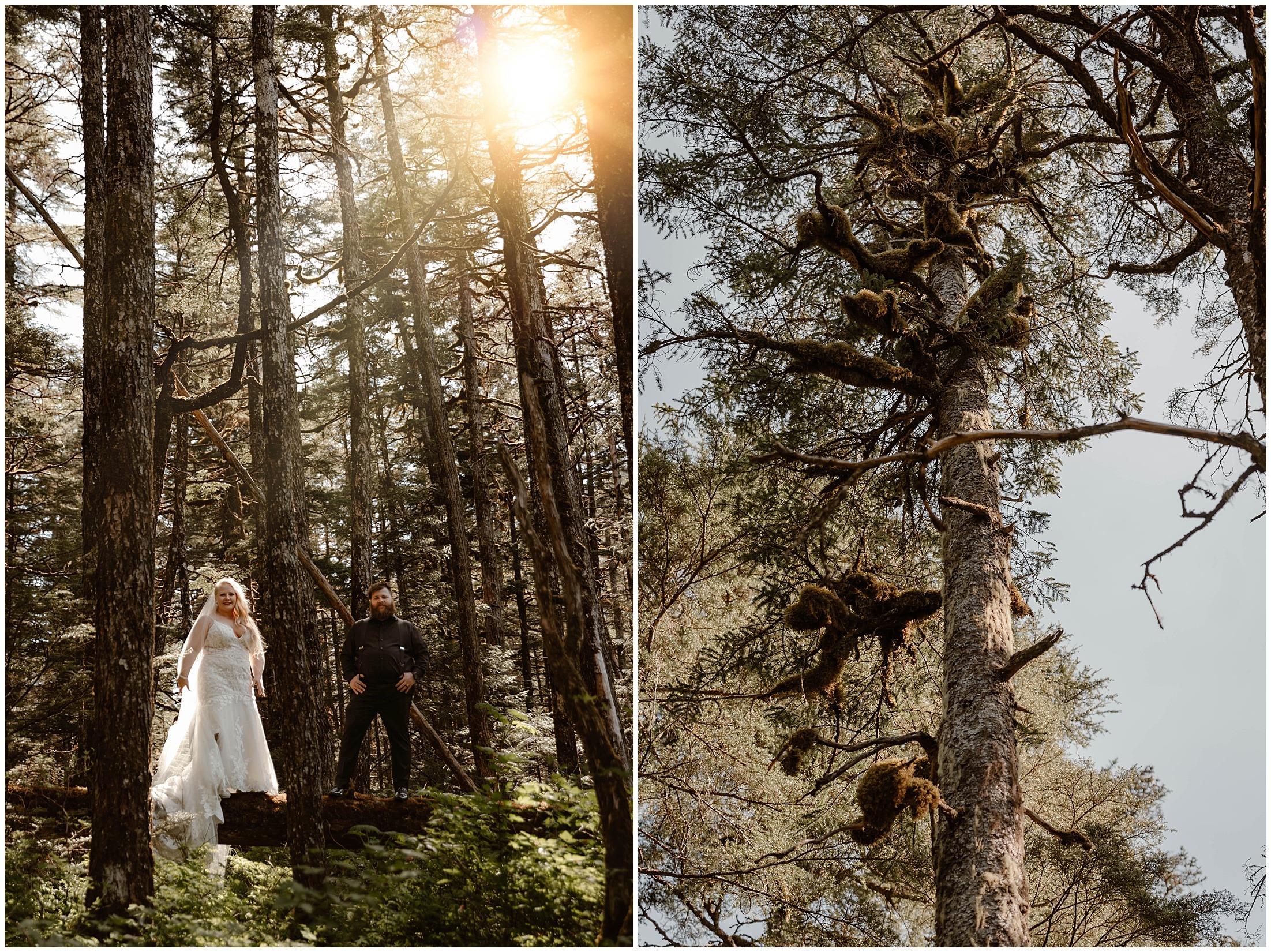 Alaska Helicopter Summer Glacier Elopement, Untethered Journeys, Brit Nicole Photography, Texas Adventure Elopements, ice wedding, alaska wedding, alaska elopement, airplane hanger elopement, forest elopement, epic alaska elopements, small intimate weddings in alaska