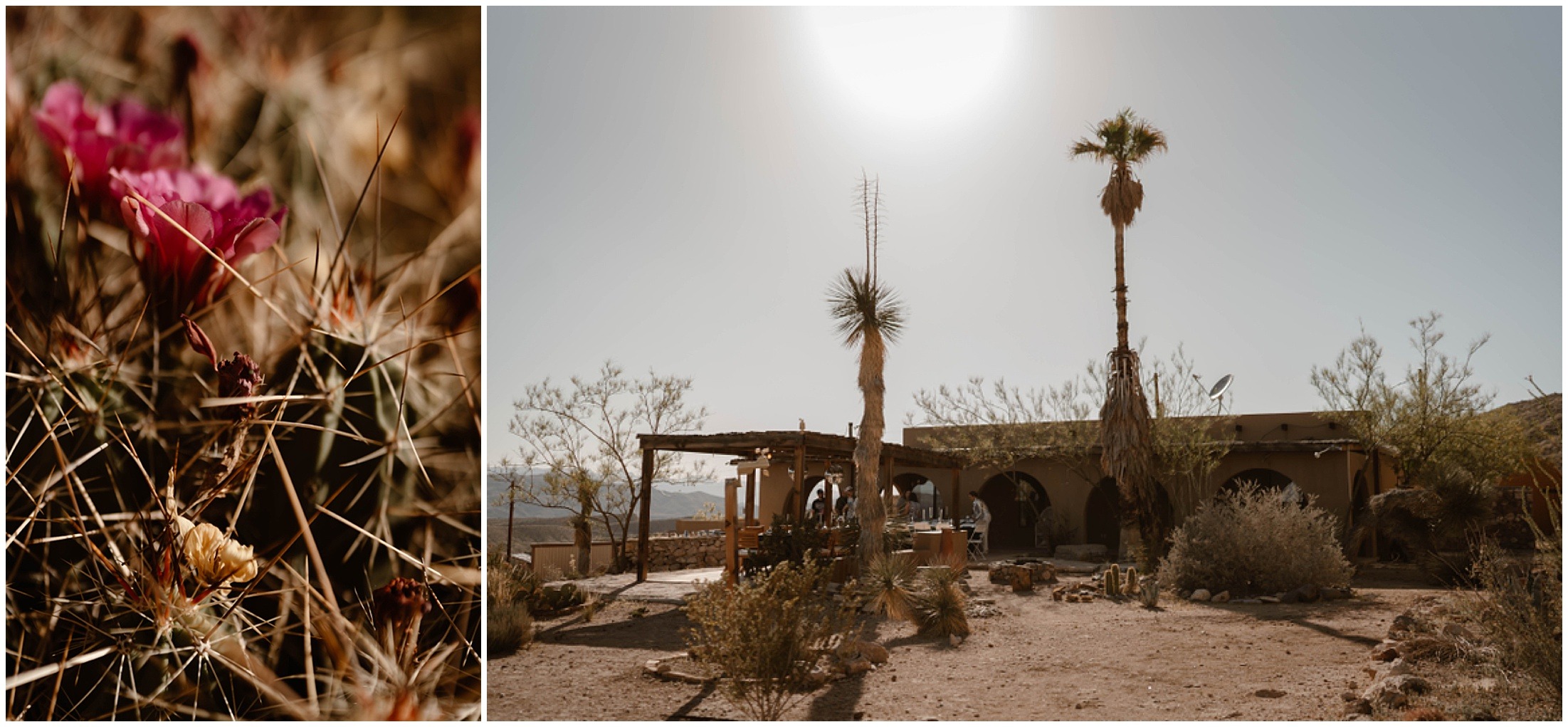 big bend national park, big bend elopement, santa elena elopement, santa elena wedding, small intimate wedding in texas, texas adventure elopements, brit nicole photography, disco elopement, desert elopement, western weddings, elopement inspo, elopement decor, davis mountains, west texas elopement, west texas wedding, dallas starz, Nick Dickerson, Dallas couple, Dallas wedding